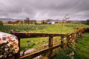 Two-thirds of UK farmers’ wealth at risk as IHT changes loom