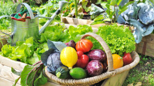 15 Vegetables To Plant In May For A Delicious Summer Bounty